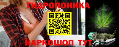 эйфоретик Новозыбков