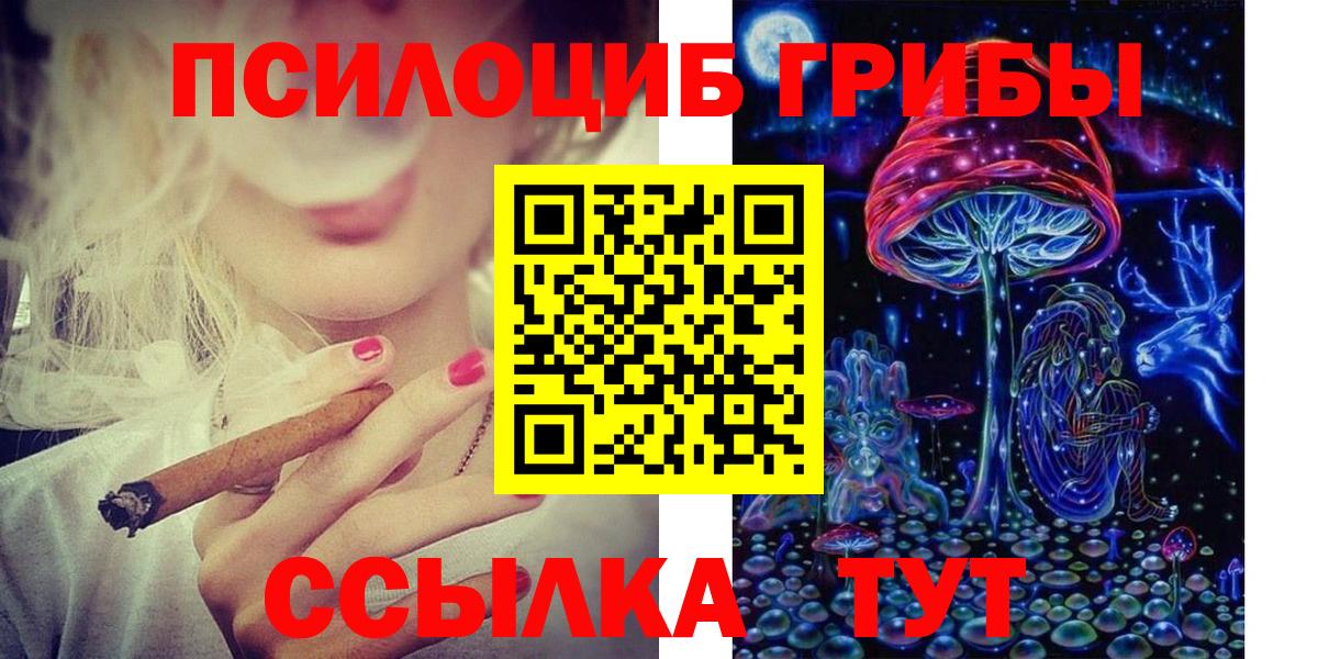 Псилоцибиновые грибы Psilocybe Тимашёвск