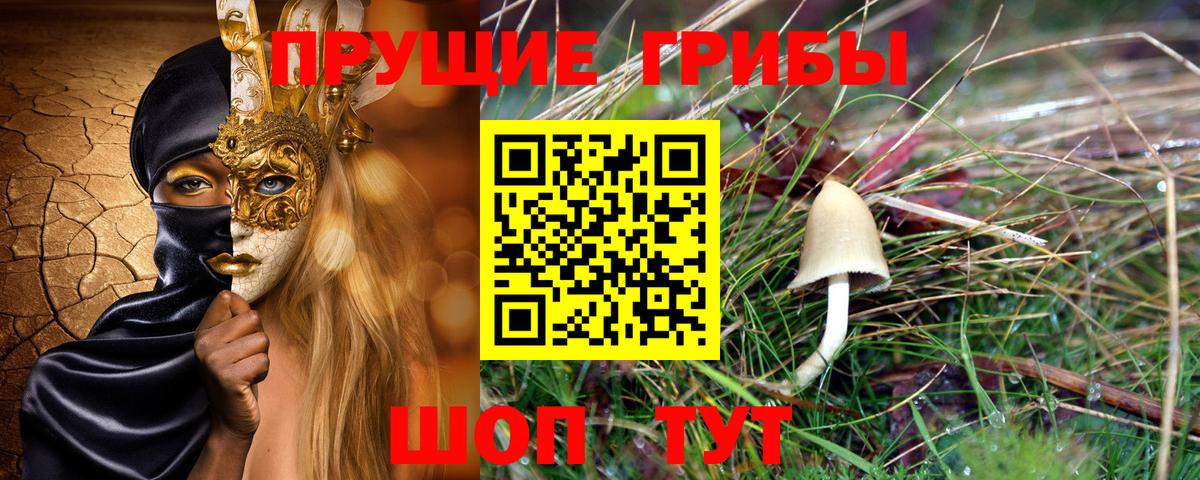 Галлюциногенные грибы Psilocybe  Вход с VPN  Тимашёвск 